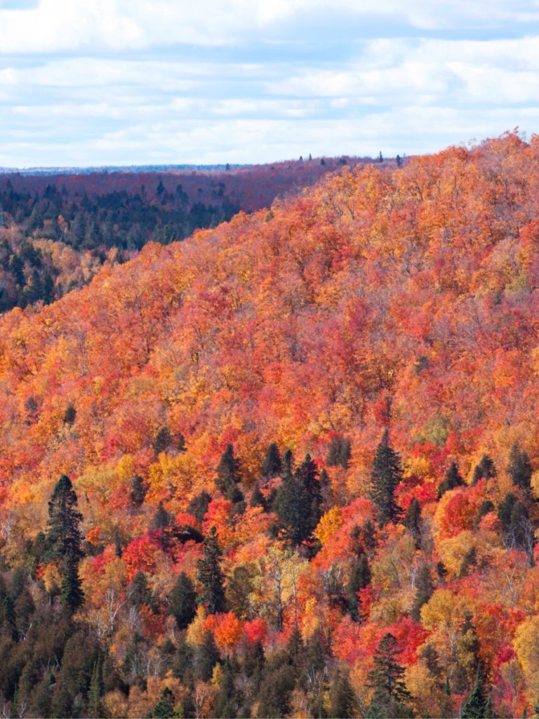 Fall Foliage, Benefits Of Hiking