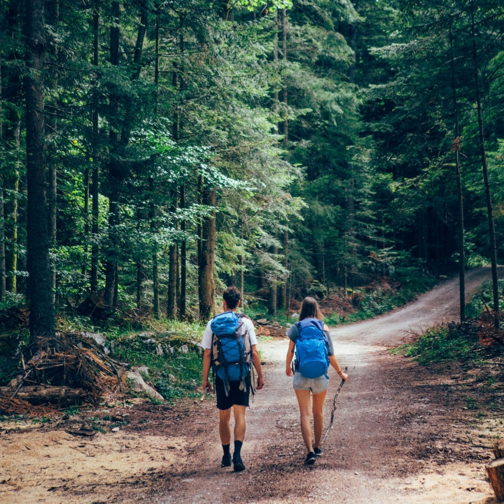 Beginner Hiking Partners