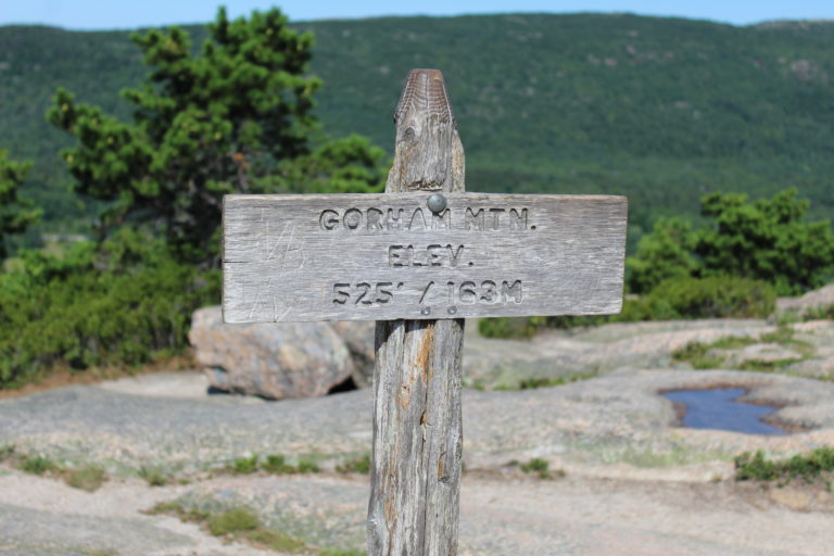 Gorham Mountain Trail Acadia National Park