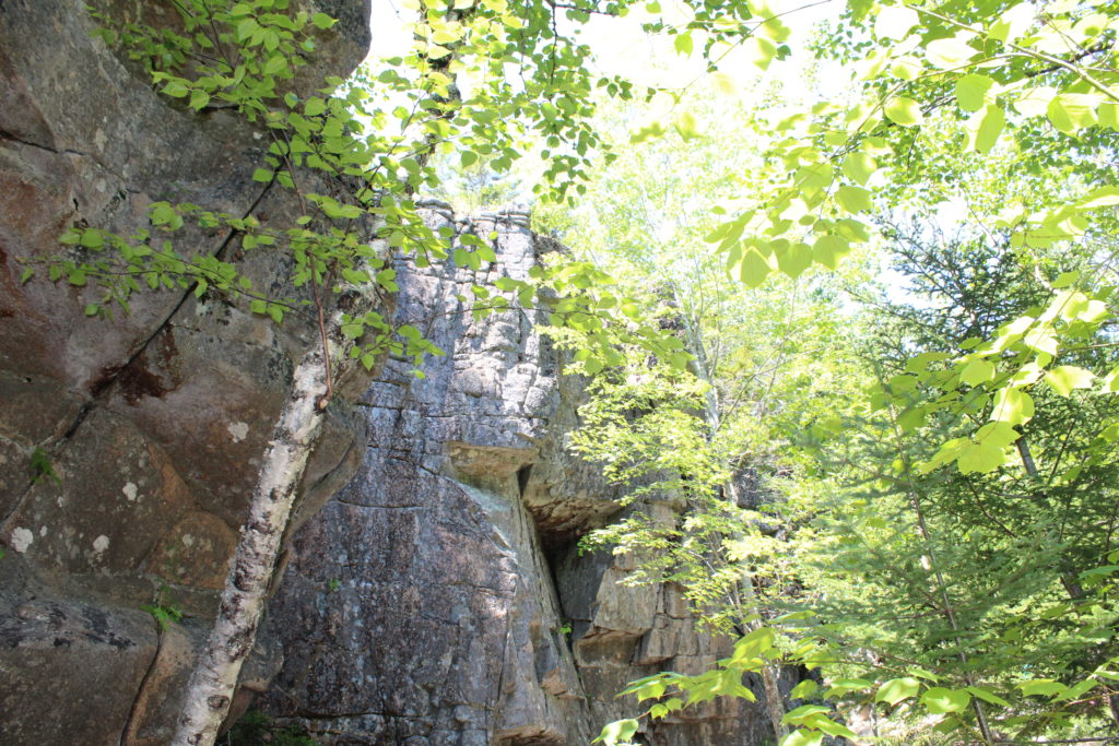 Gorham Mountain Trail Ledges Way Back 