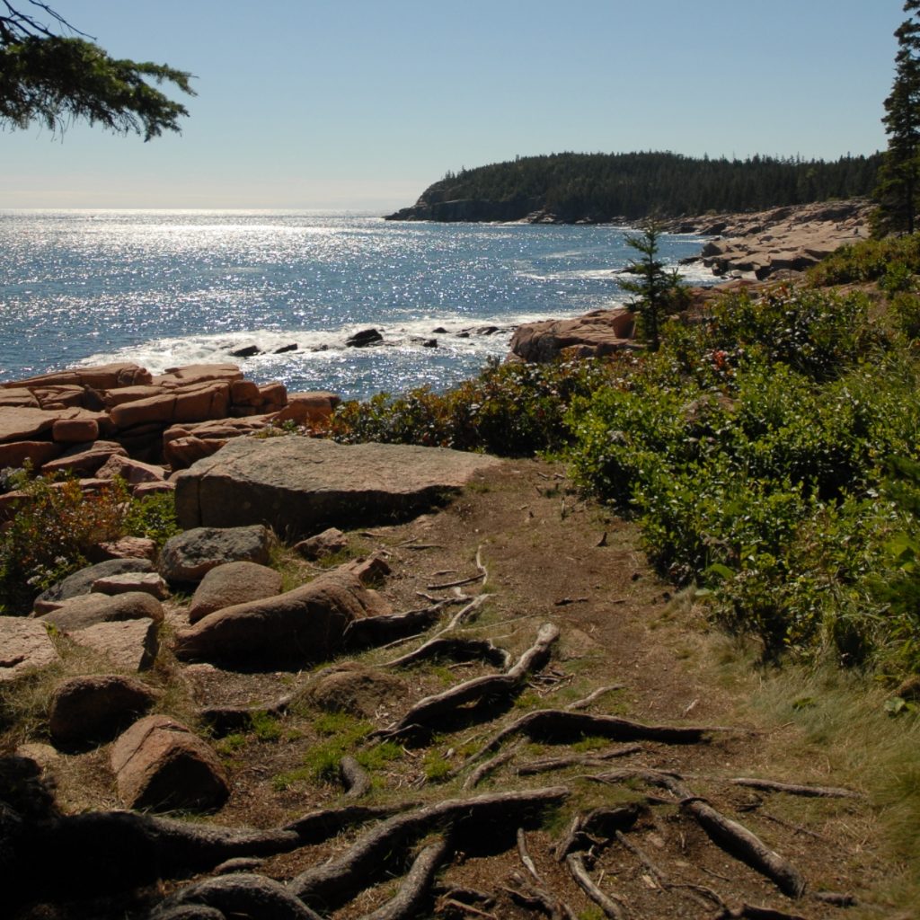 Acadia Hiking