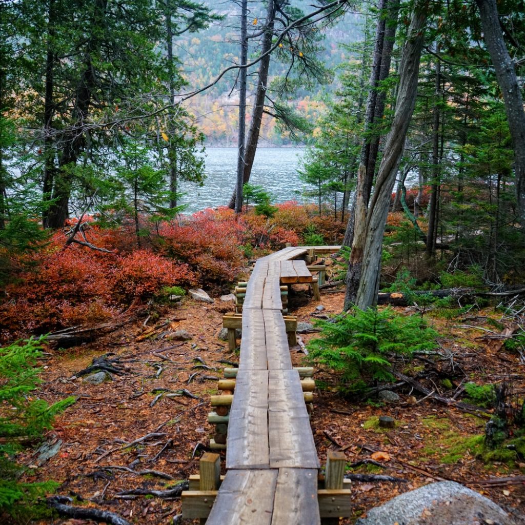 Acadia Hiking Path