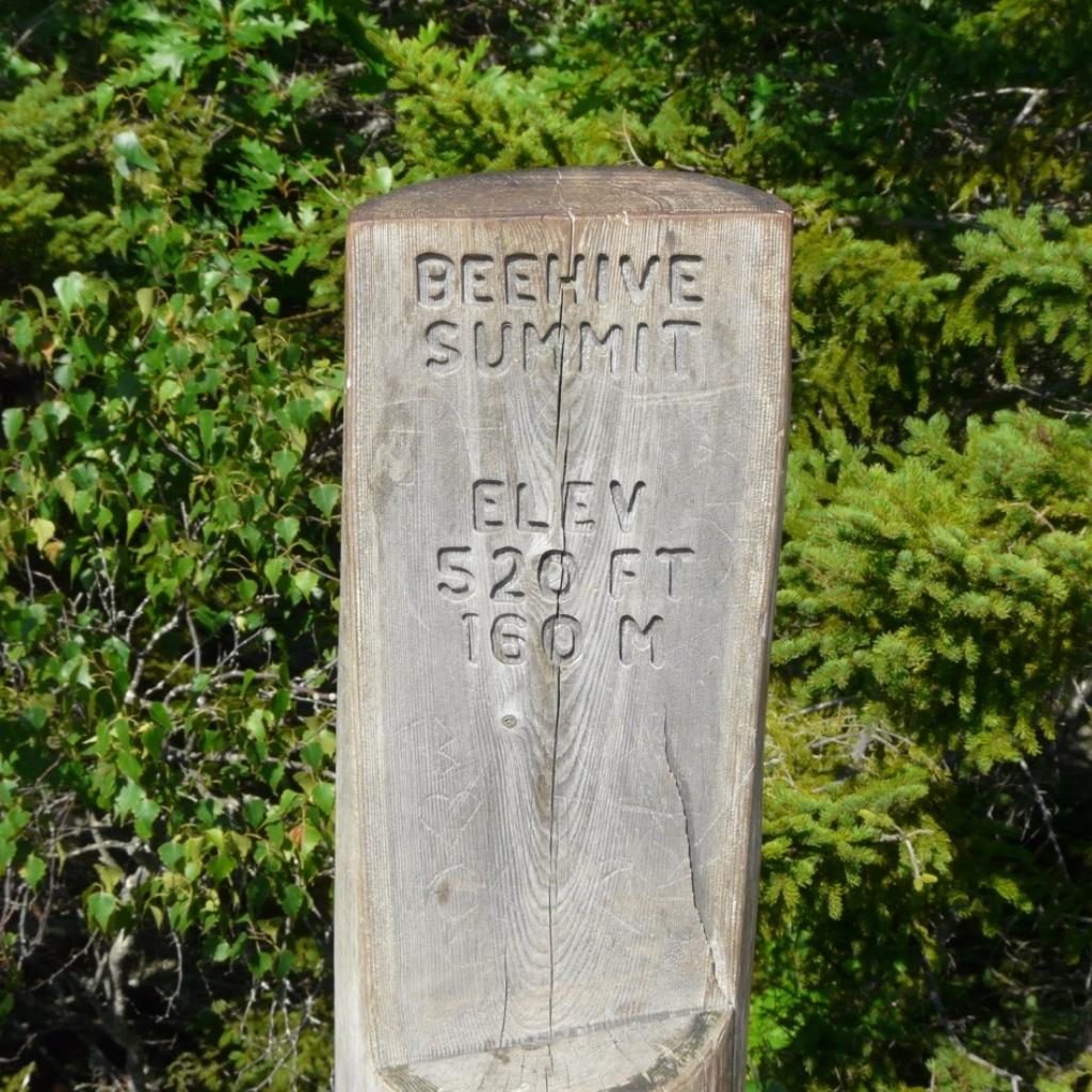 The Beehive Trail Acadia Sign