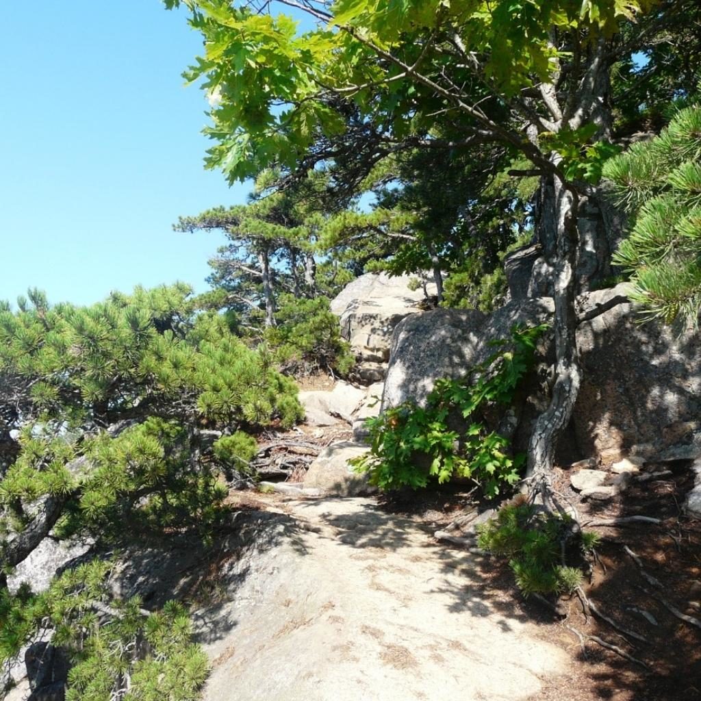 Beehive Trail Acadia