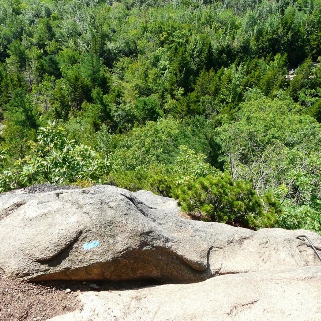 Beehive Trial Edge 