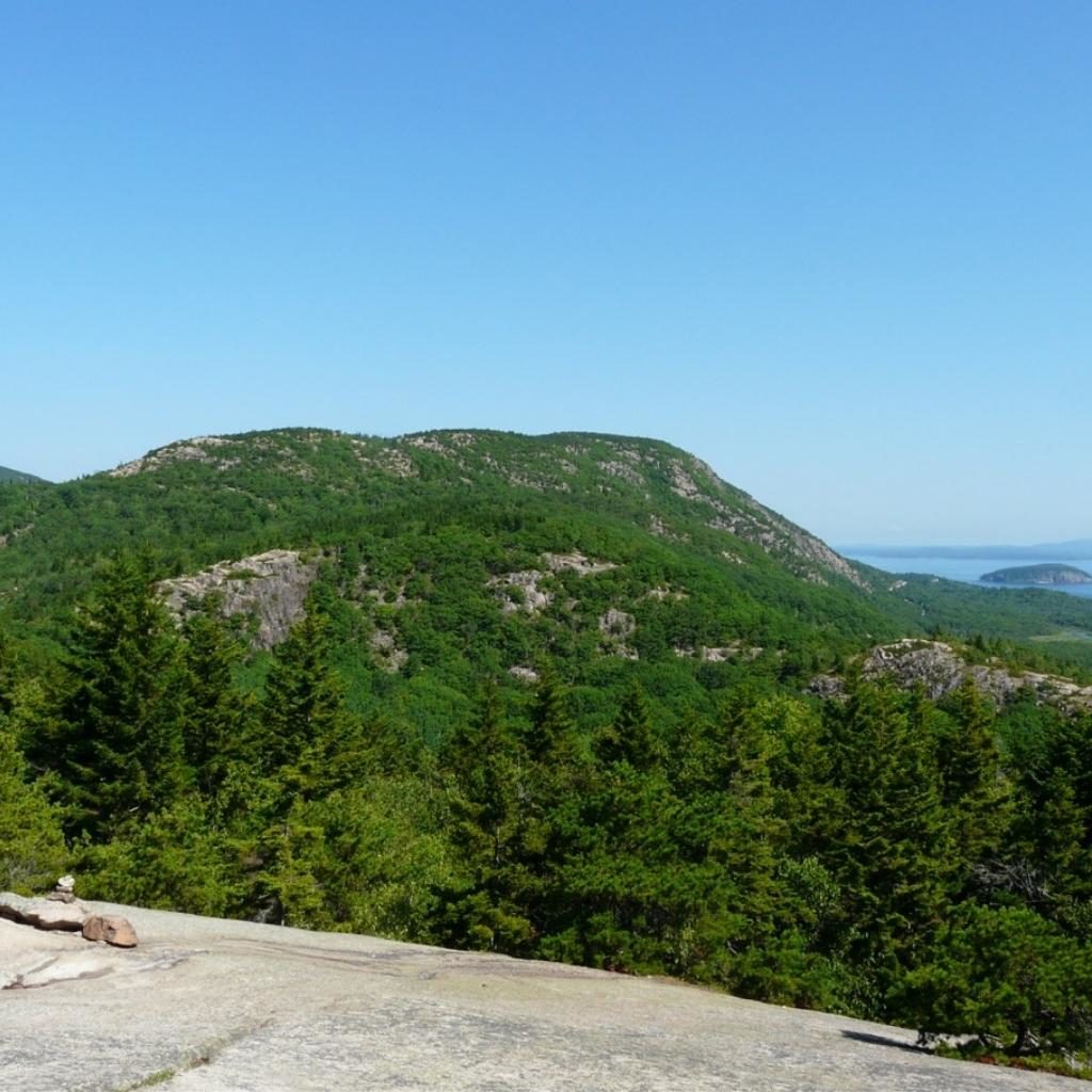 The Beehive Acadia