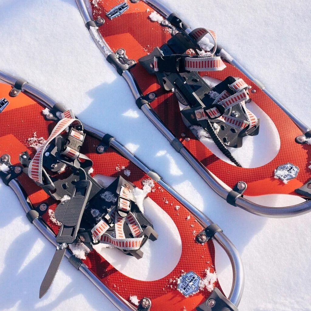 Pair Of Snowshoes