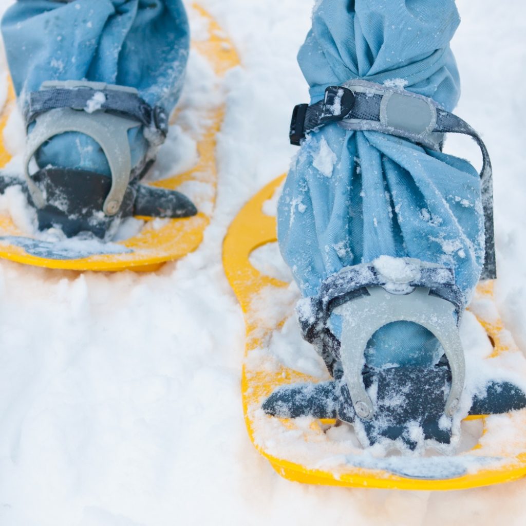 Snowshoe Gear