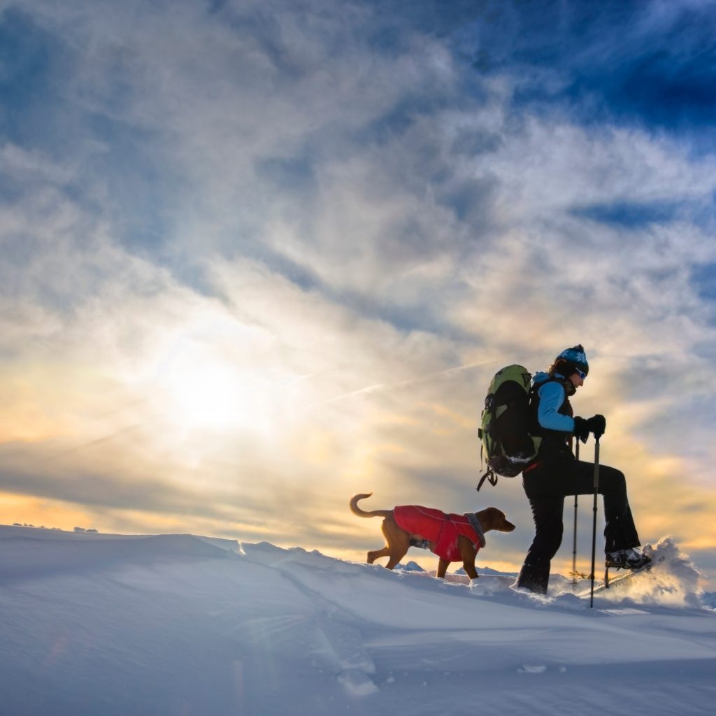 Snowshoeing with a dog