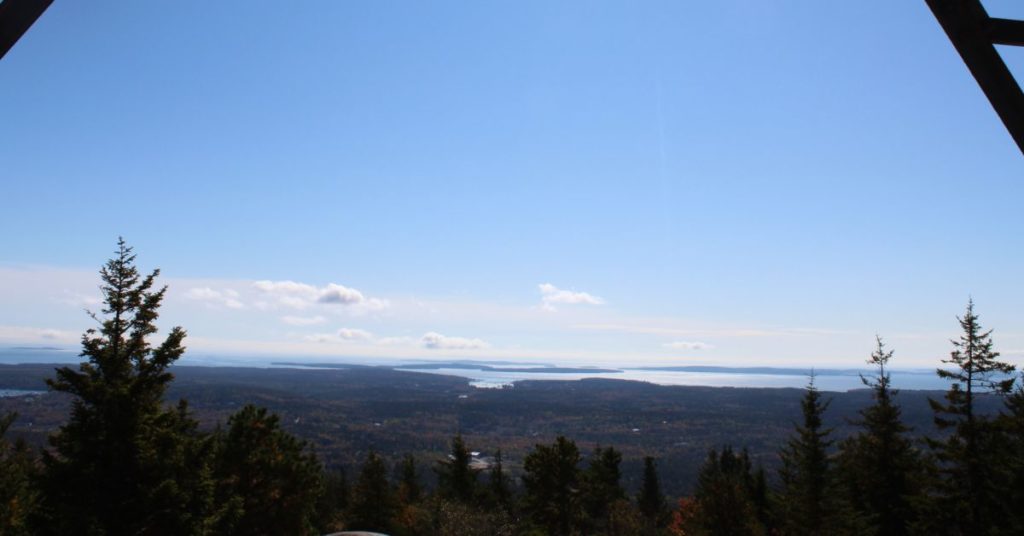 Tower Lookout