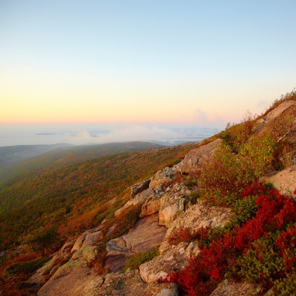 Cadillac Mountain Fall