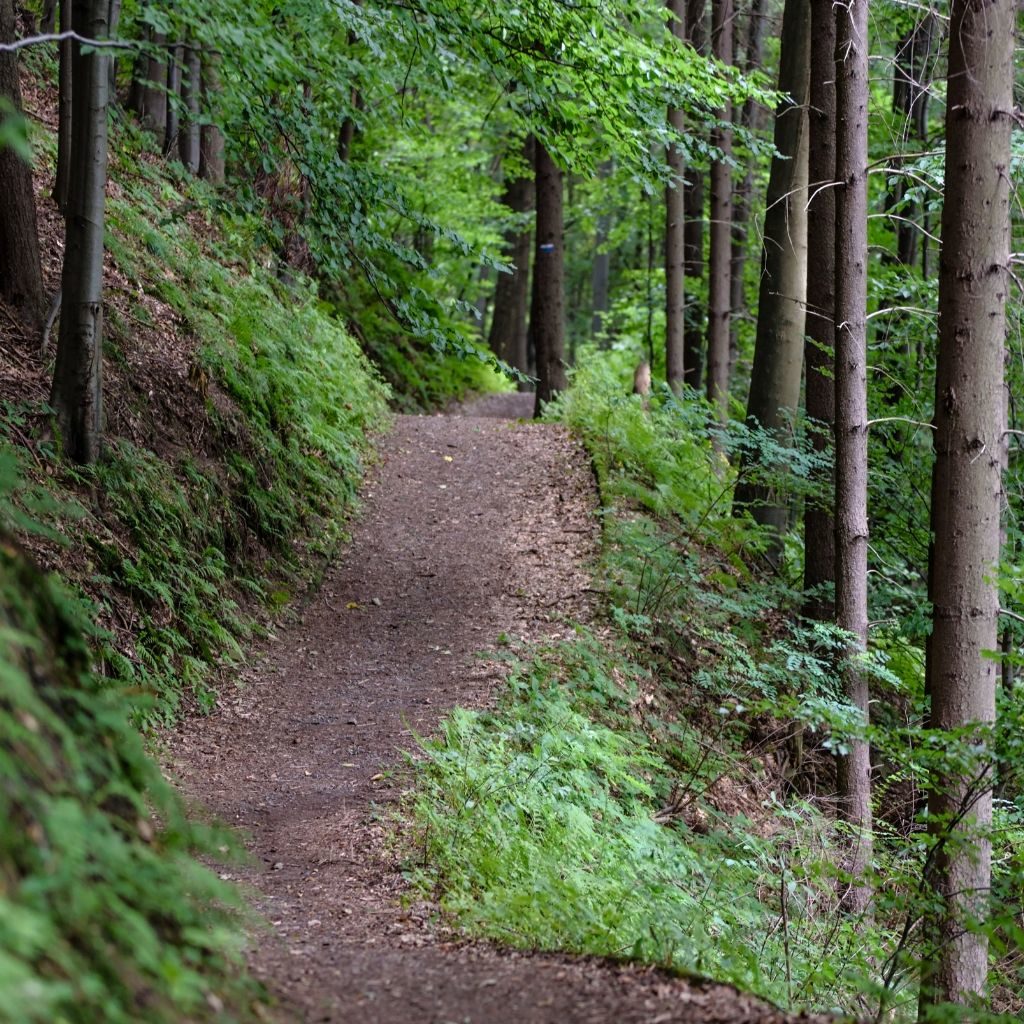 Hiking Trail