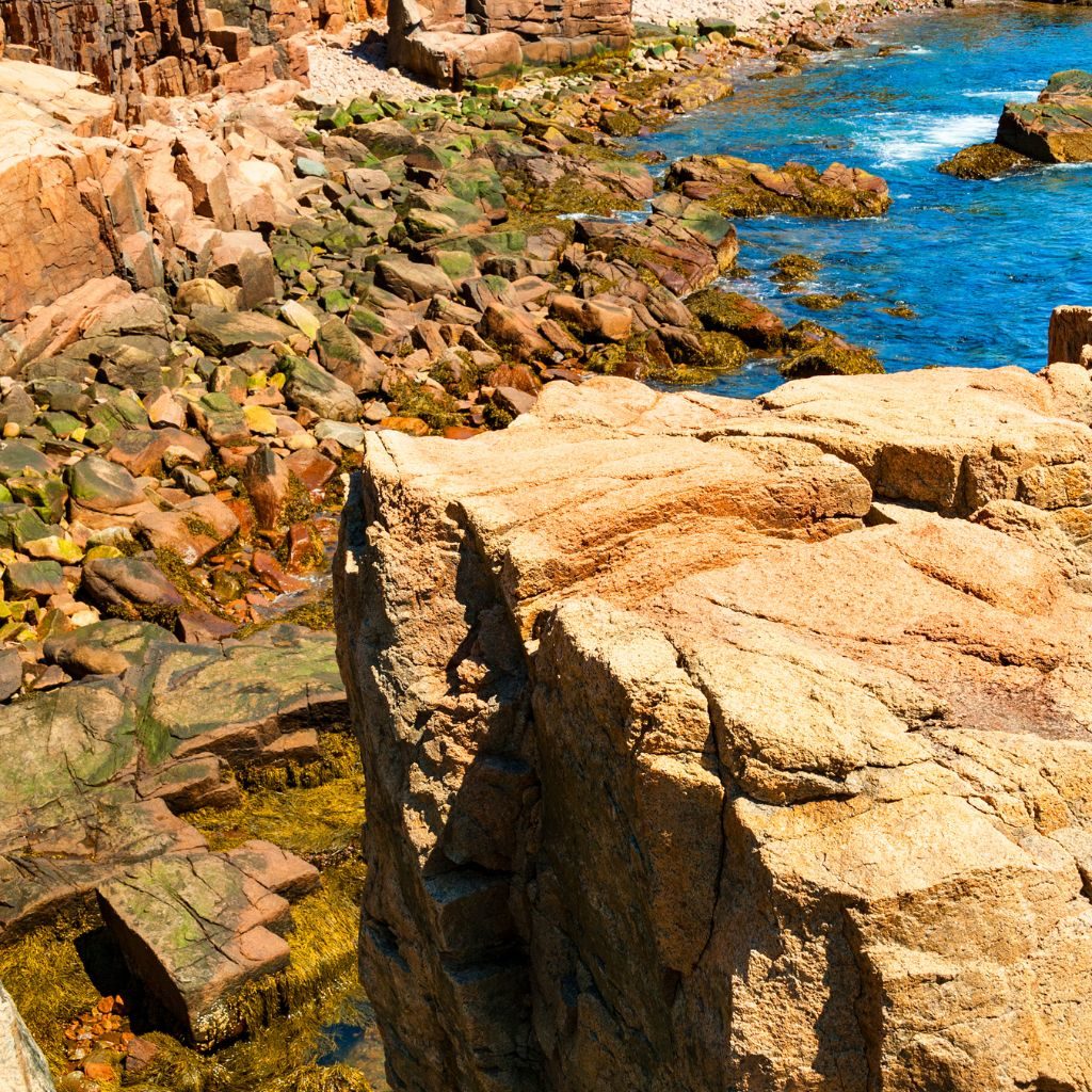 Ocean Path Acadia