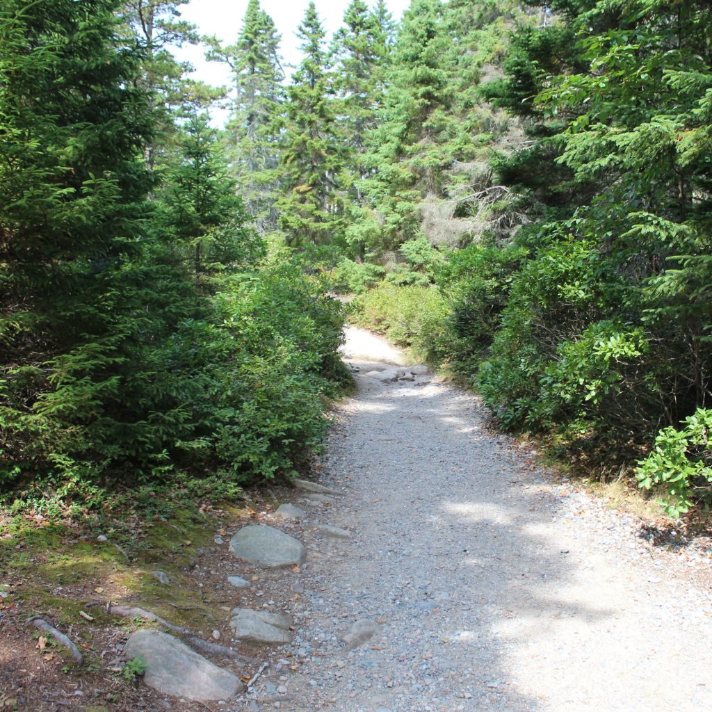 Gravel Path 