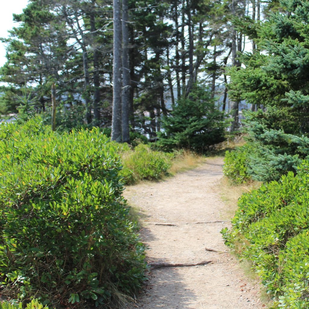 Wonderland Trail Acadia National Park