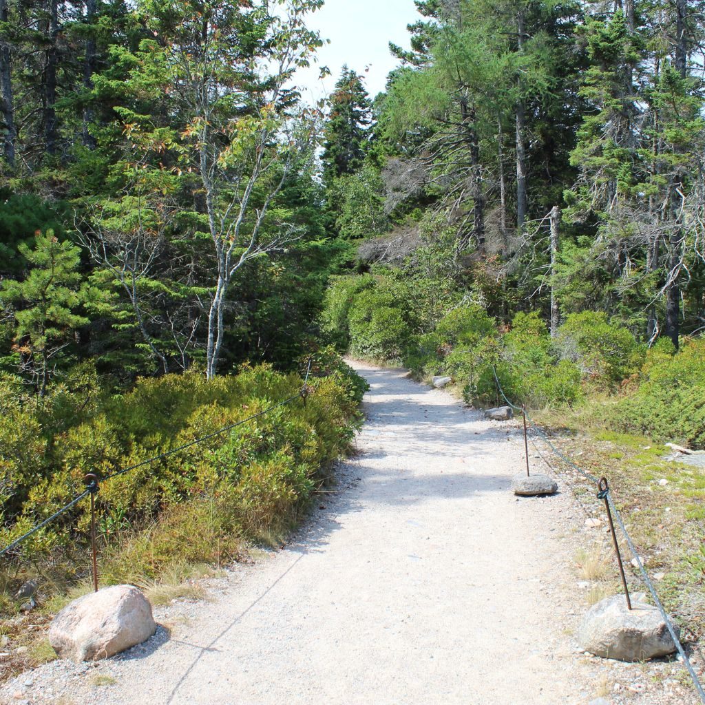 Wonderland Trail Path