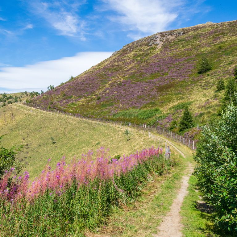 Hiking Trail