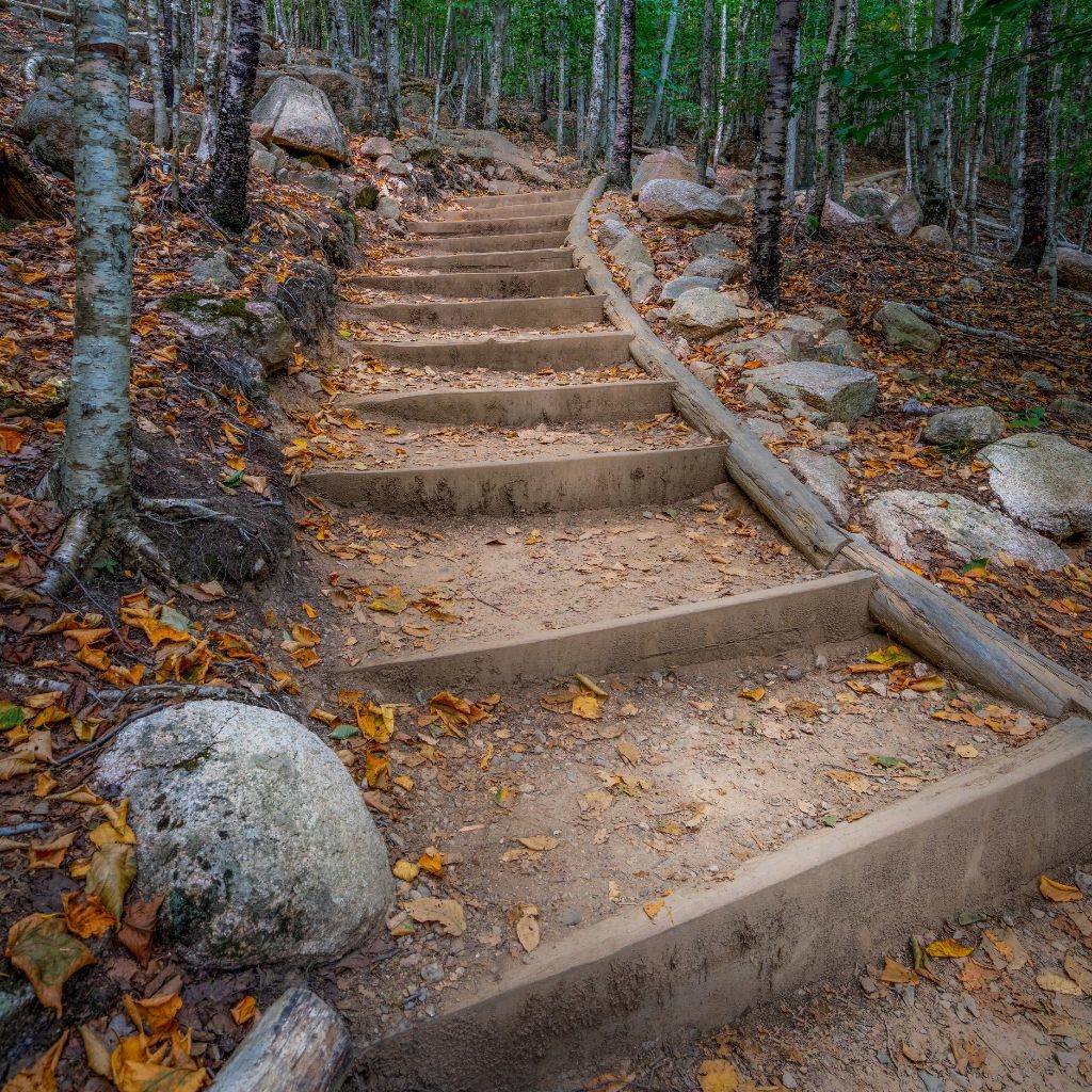 Bald Peak Path