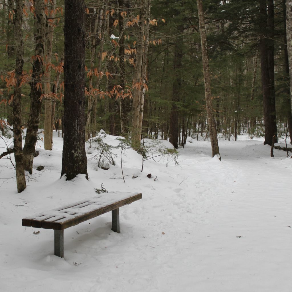 Winter Hiking