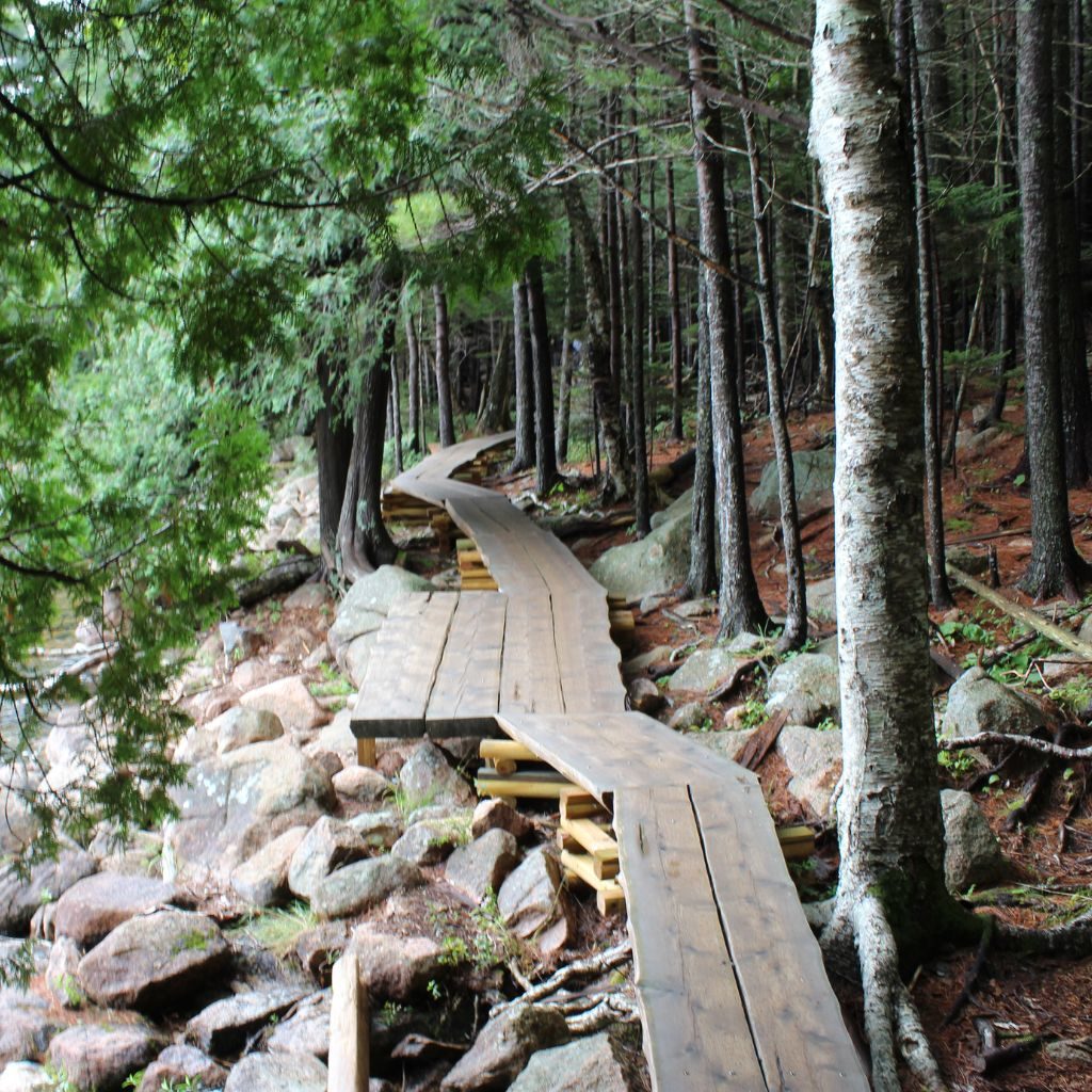 Pond Boardwalk