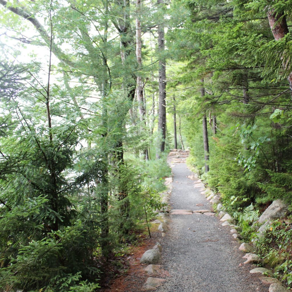 Gravel Pathway