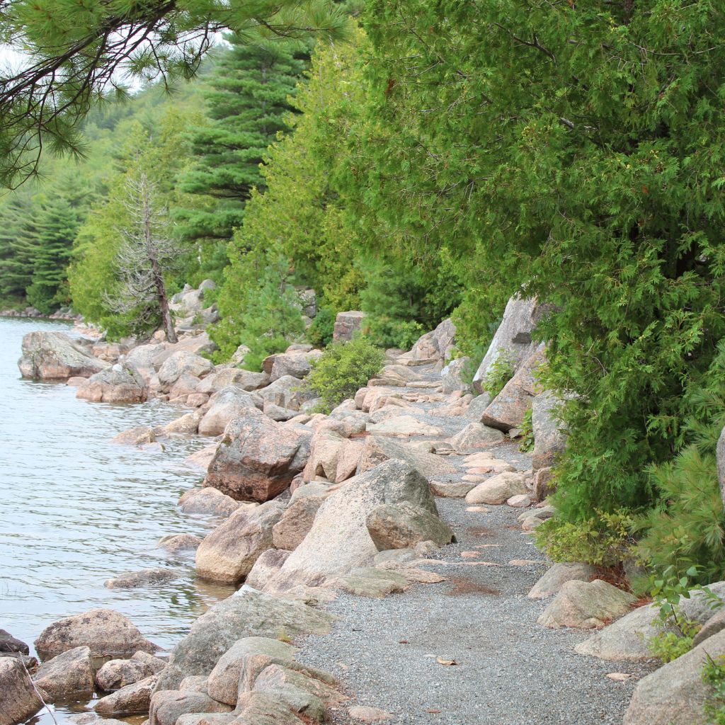 Jordan Pond Rocky Path