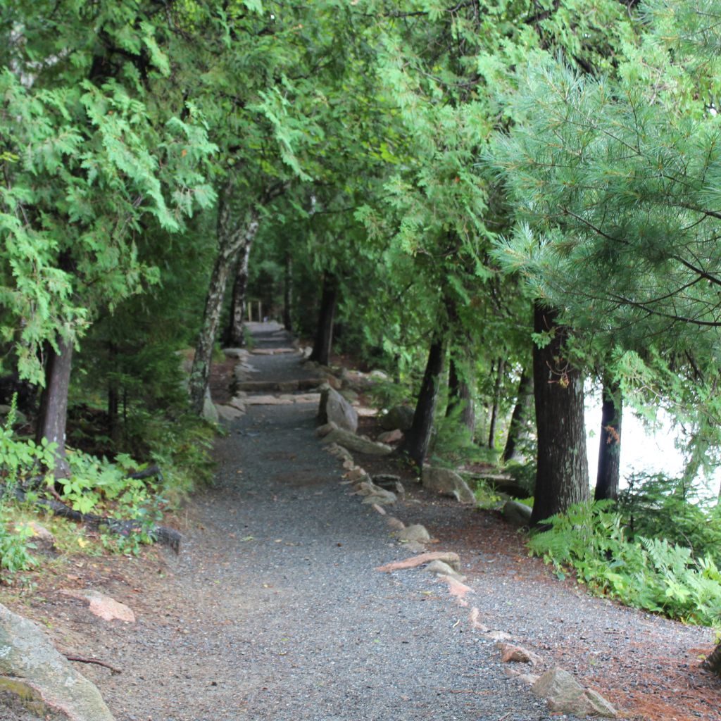 Jordan Pond Tree Covered Path