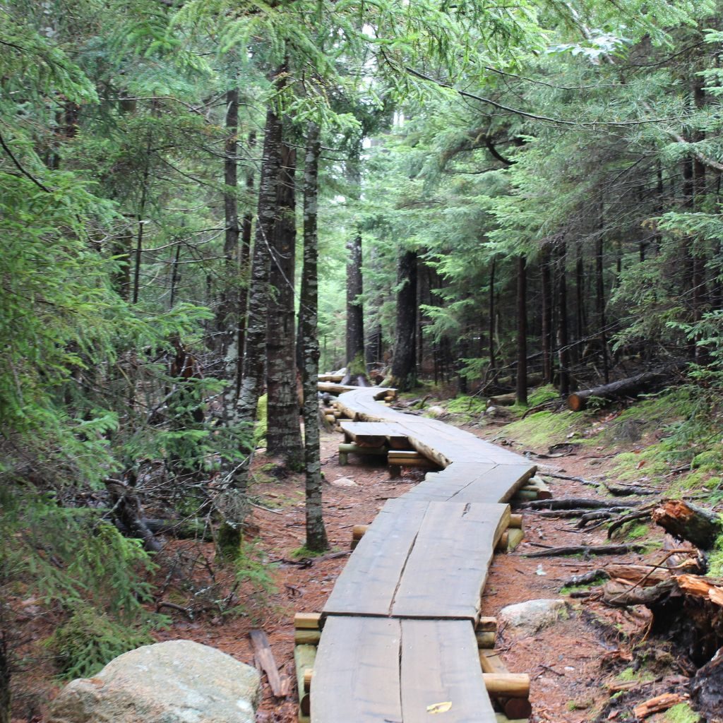 Jordan Pond Woods Boardwalk