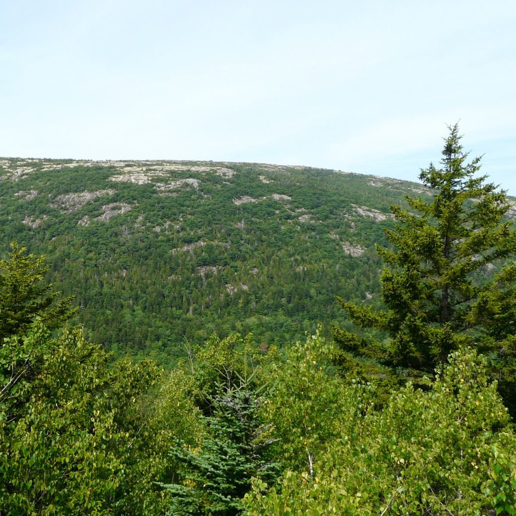 Parkman Mountain