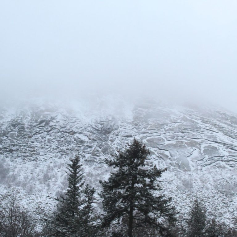 Snow Capped Peak