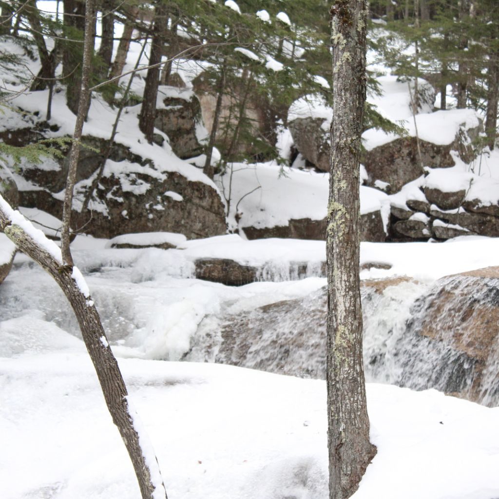 Winter Hiking