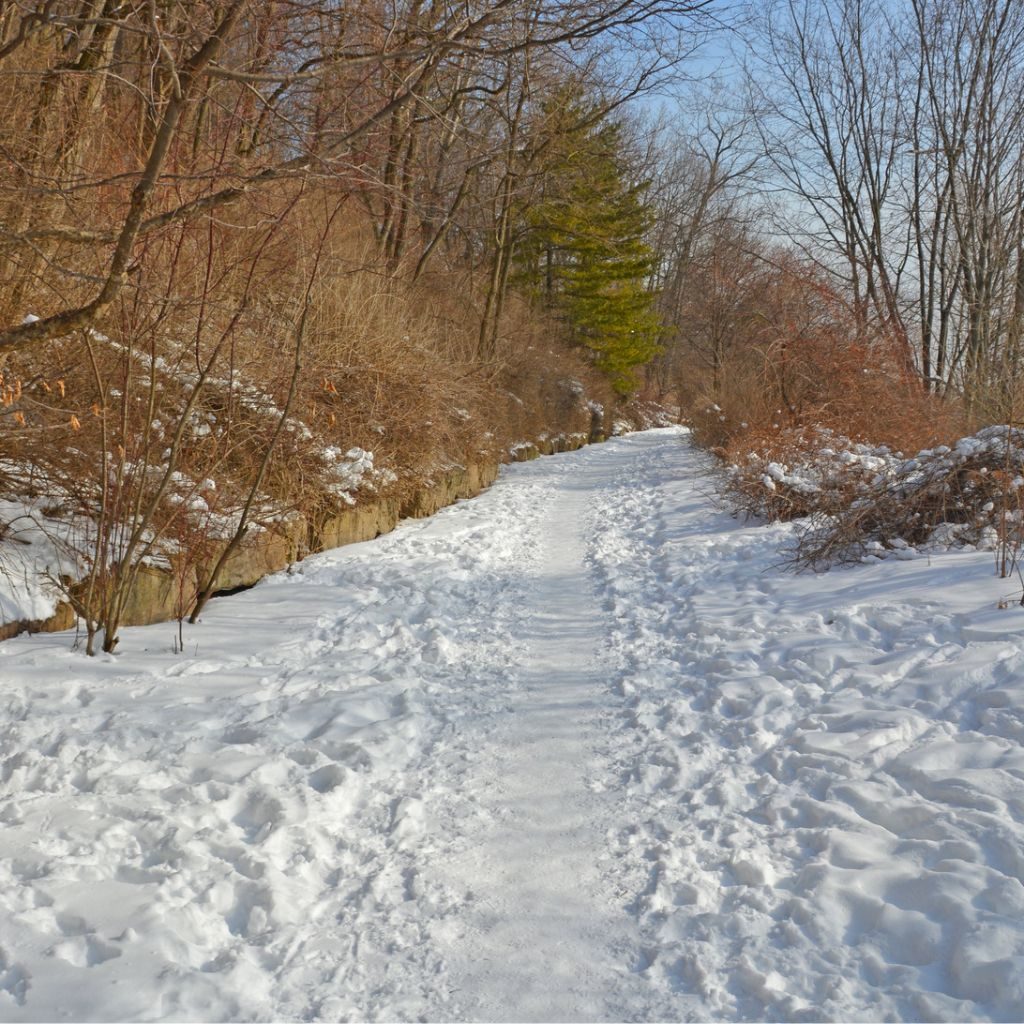 Winter Hiking Path