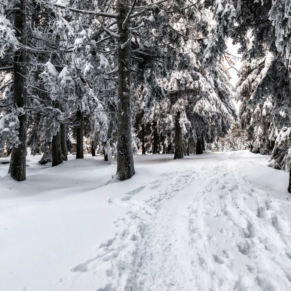 Winter Hiking