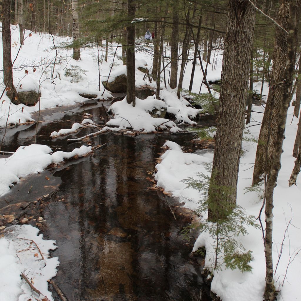 Winter Stream