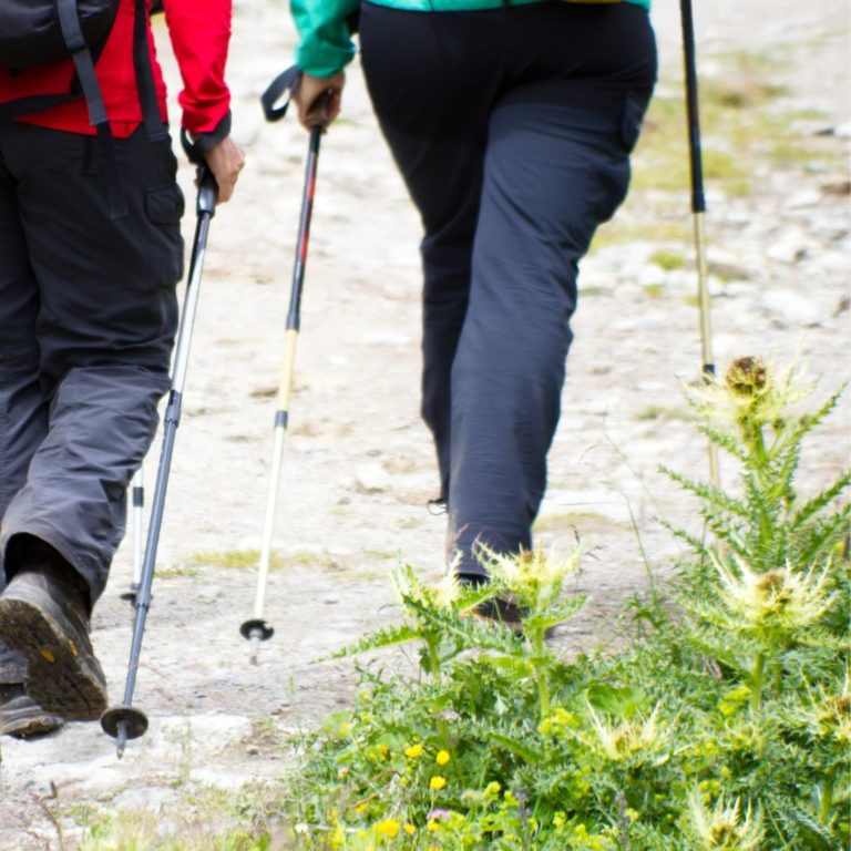 Plus Size Hiking Pants