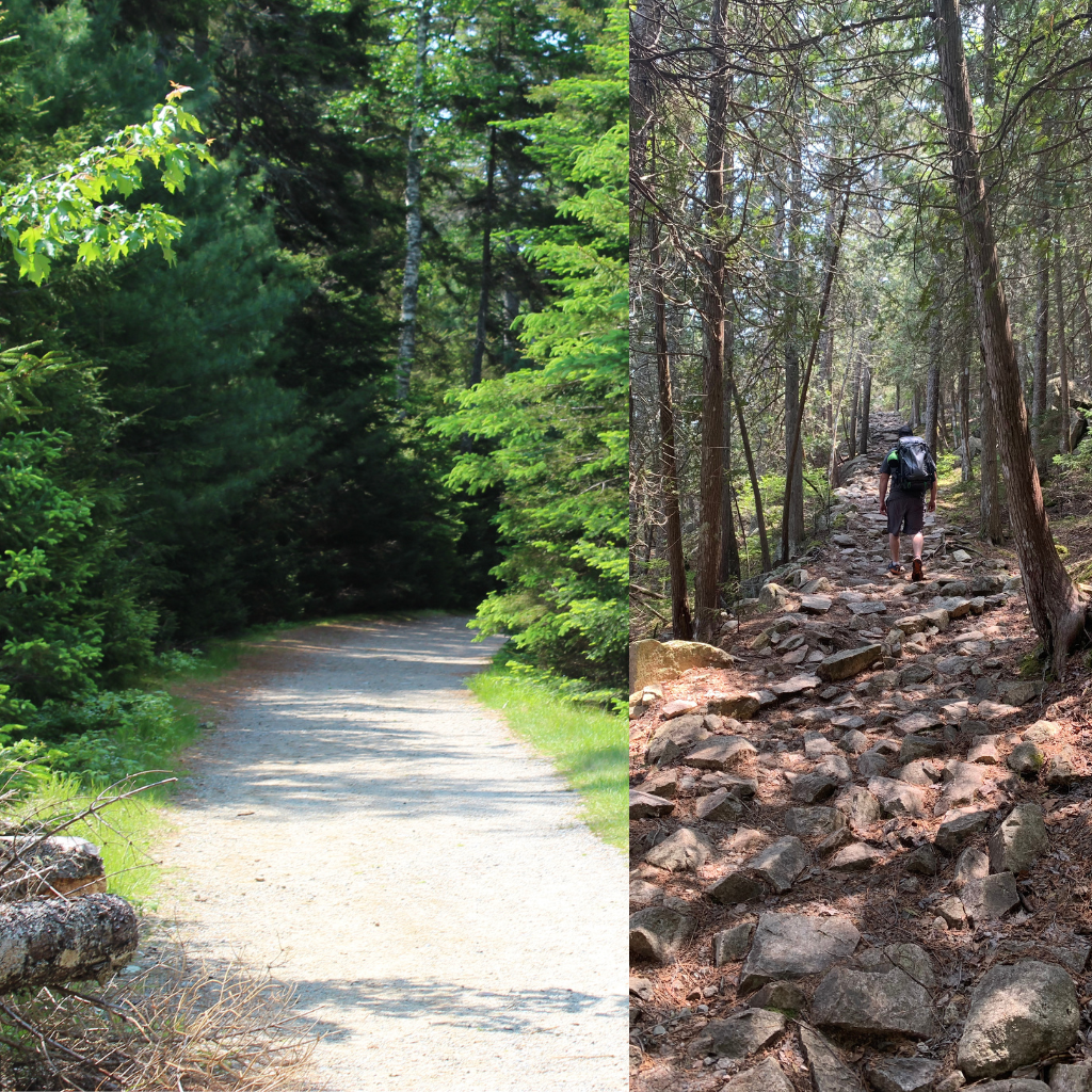 Difference Between Walking And Hiking Trail Show By Comparing Two Paths