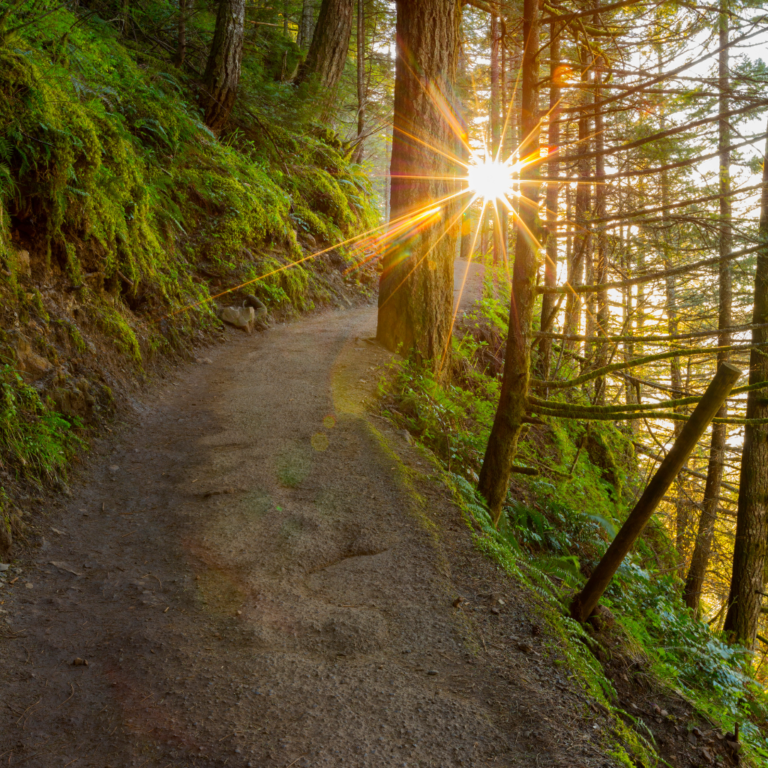 Flat Hiking Trail