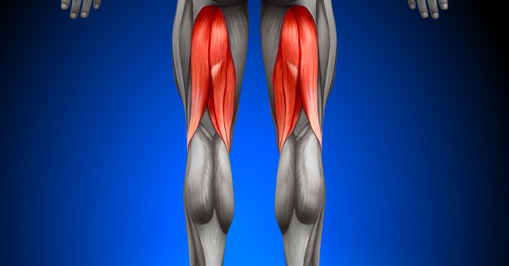 Hamstring Muscle Of Both Legs