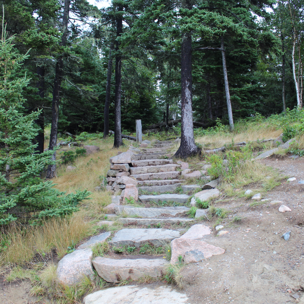 Hiking Trail With Stone Stairs