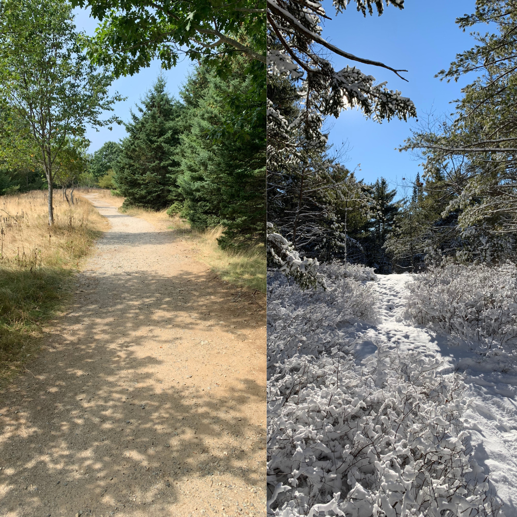 Difference Between A Summer Walking Trail And A Winter Hiking Trail