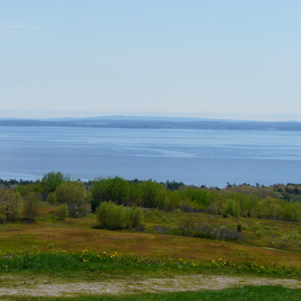 View Of The Ocean From A Field