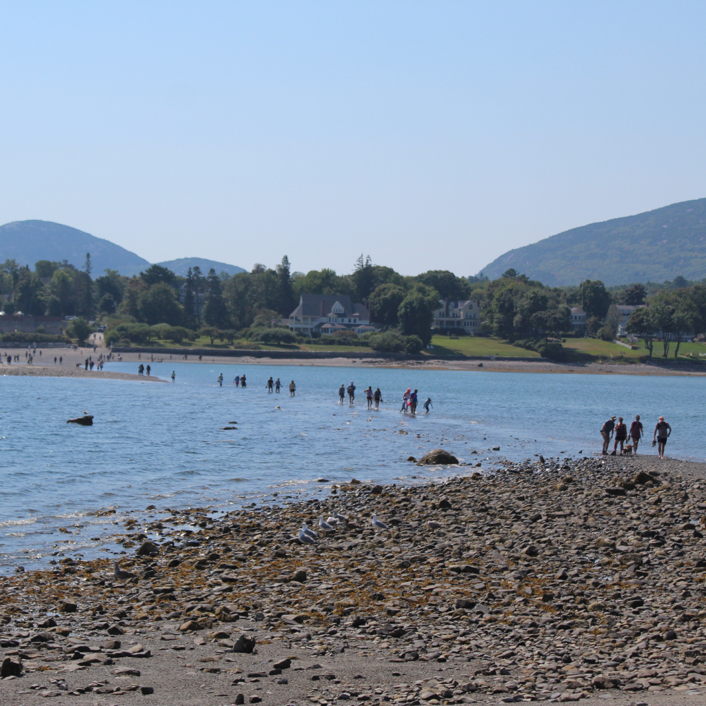 View looking back to the Bar Island crossing just before low tide with people crossing through the water