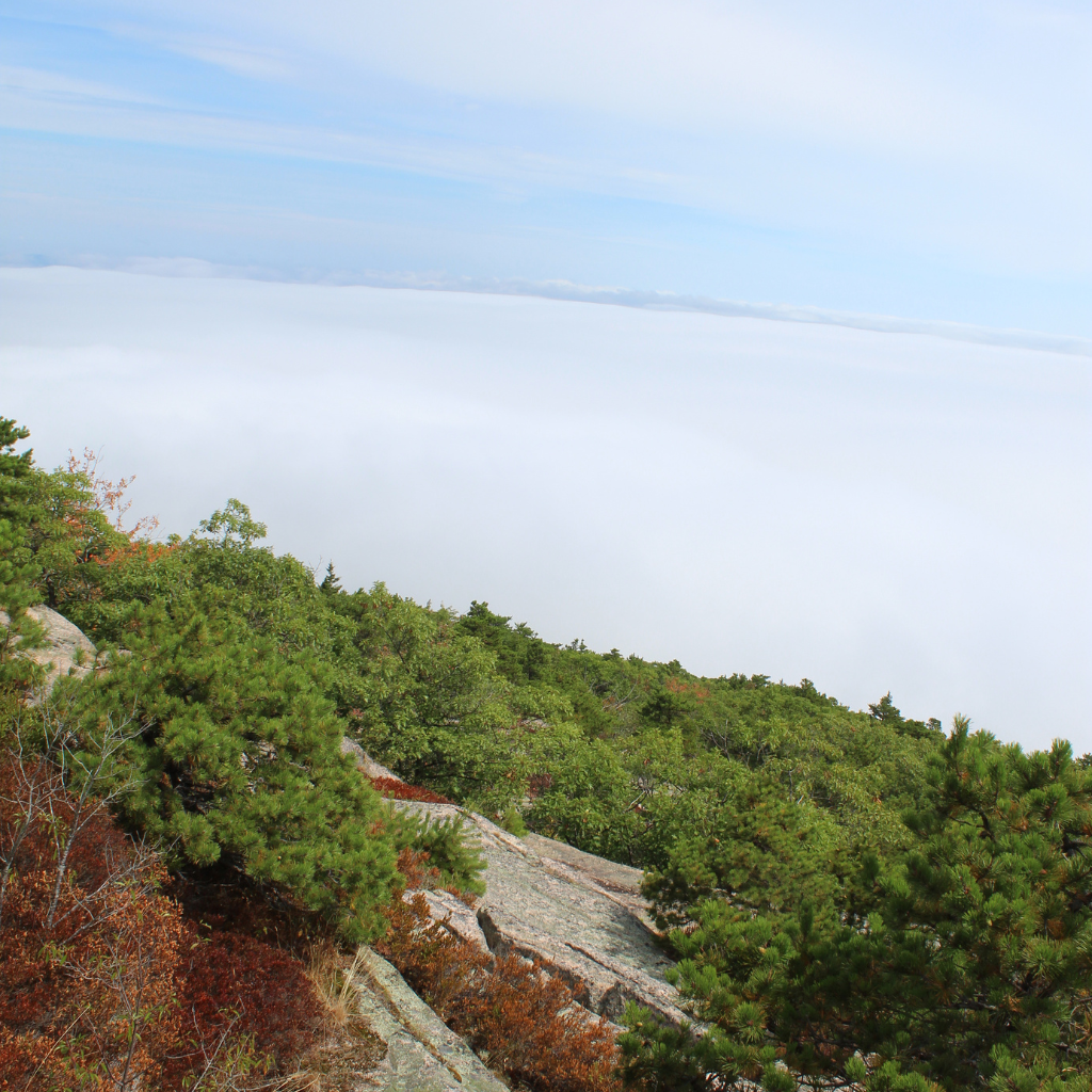 View from the summit of Champlain Mountain  in Acadia National Park overlooking the fog bank below