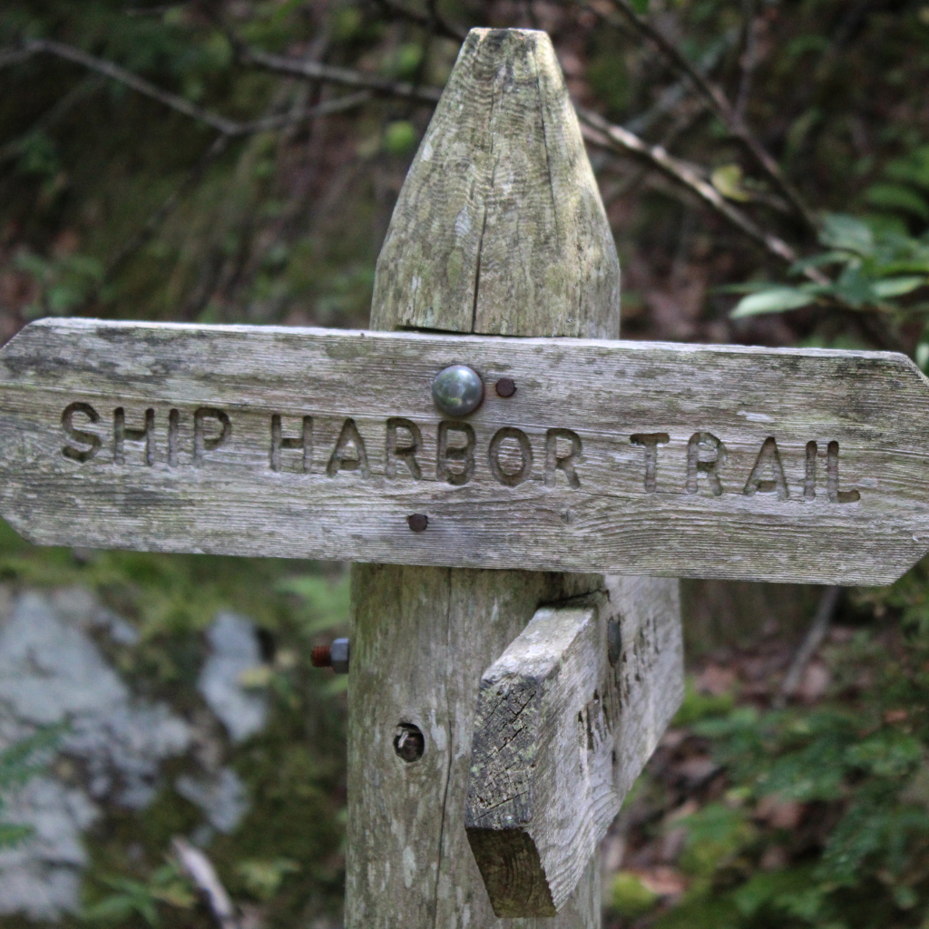 A sign post with the trail sign that read Ship Harbor Trail in Acadia National Park