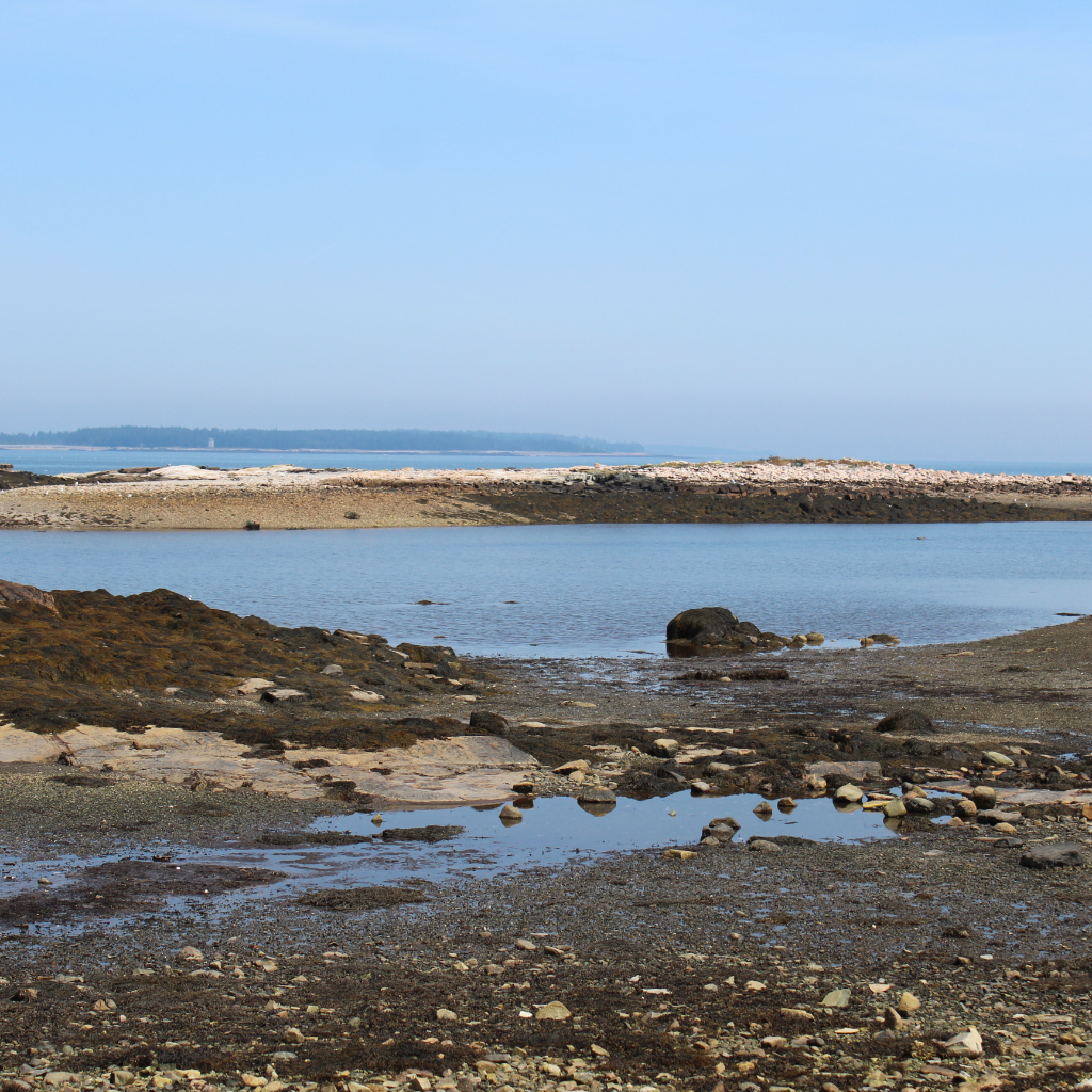 A photo overlooking a small cove out to a small island along Wonderland Trail In Acadia National Park